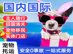宁远航空货运国际宠物托运 【国